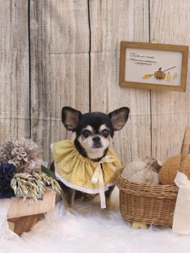 20241018モカちゃん